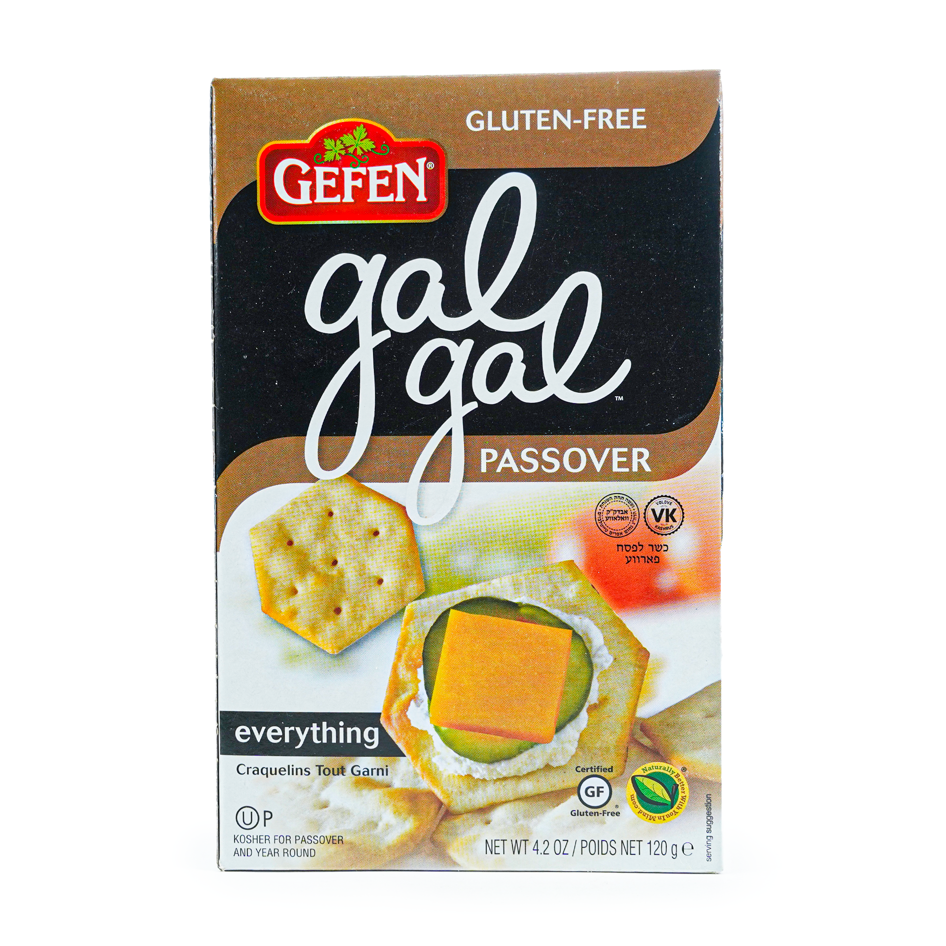 Gal Gal Everything P