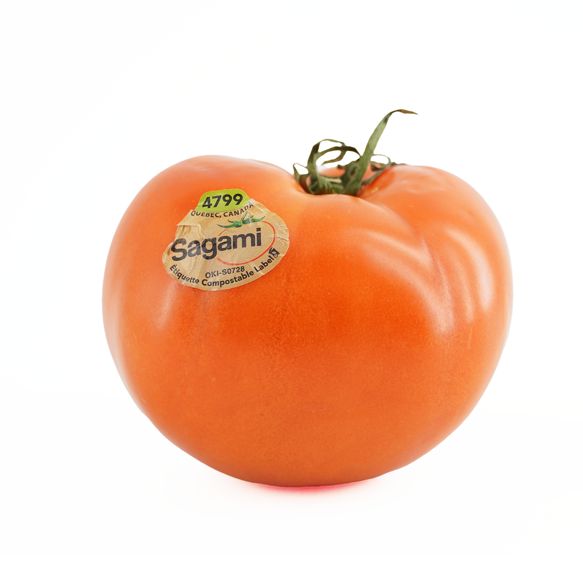 Beefsteak Tomato