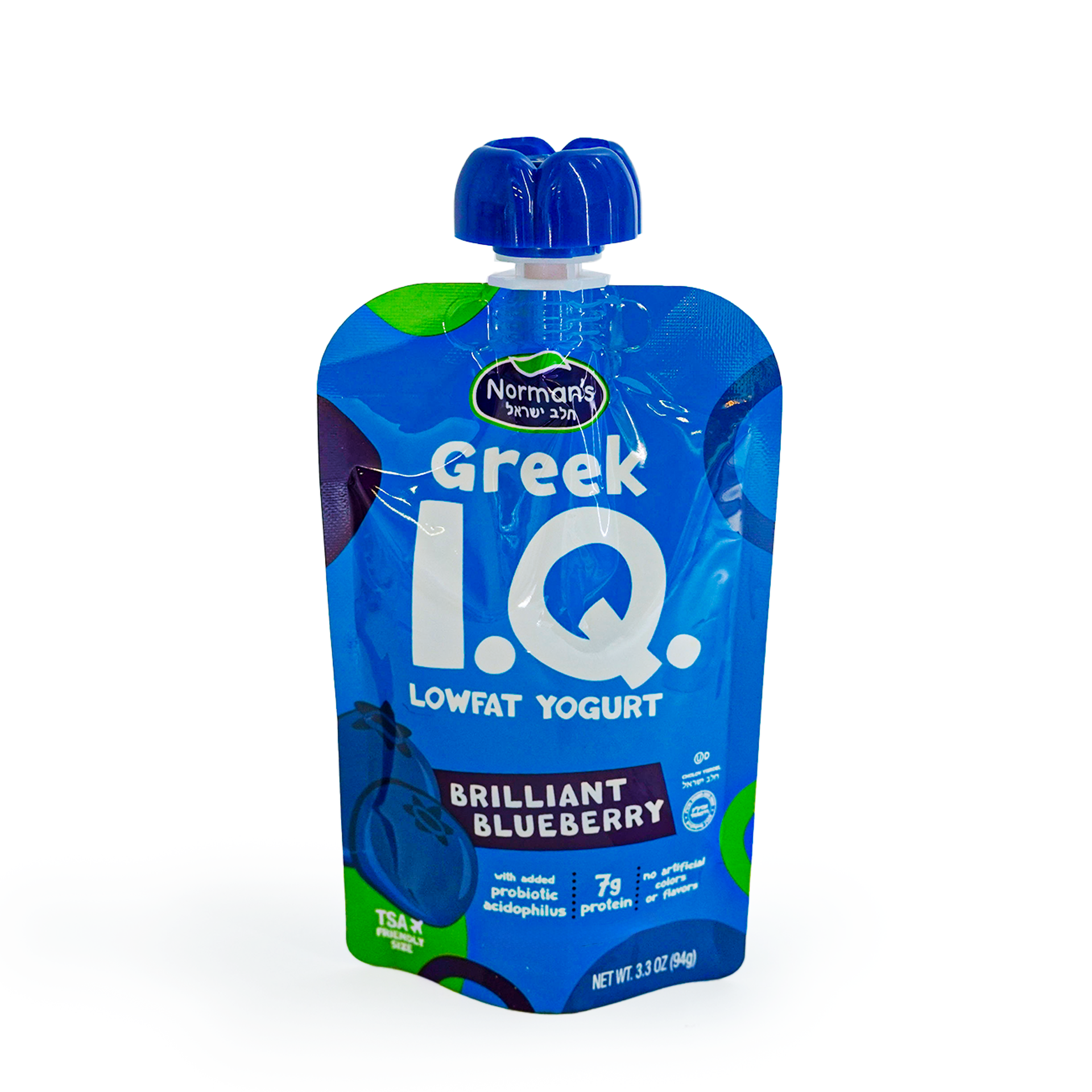 Greek Blueberry Yogurt Pouch