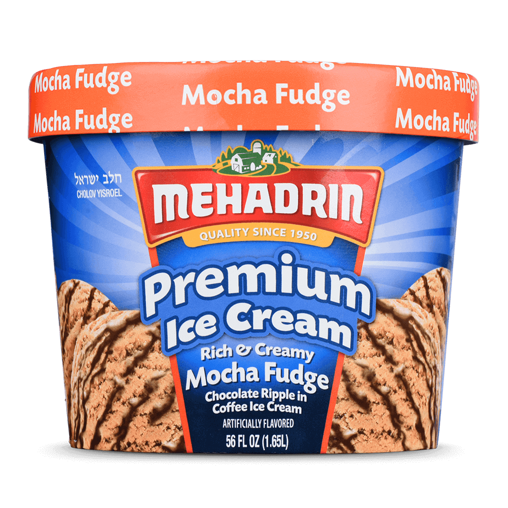 Mocha Fudge Ice Cream