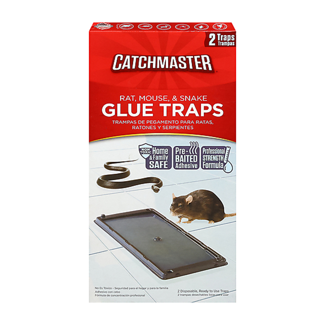 Rat Glue Traps