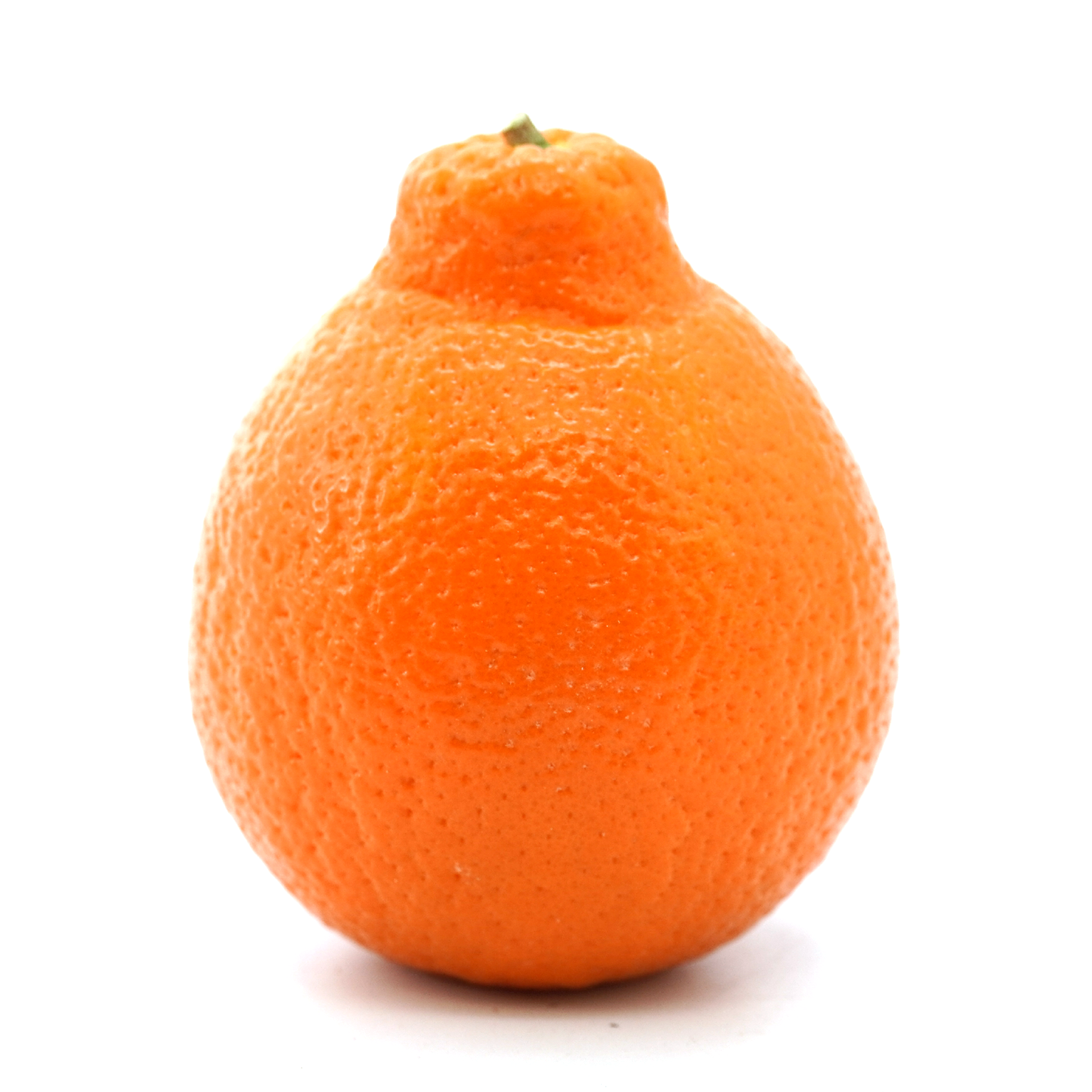 Minneola Tangelo